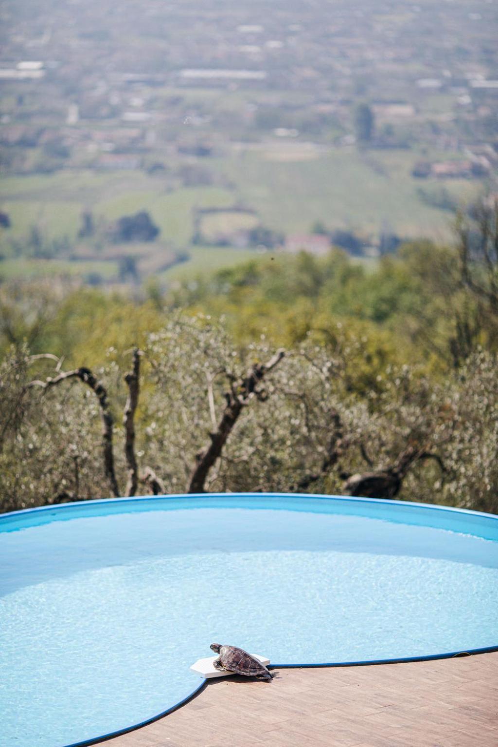 Villa Desiderio Tuscany Пистойя Экстерьер фото
