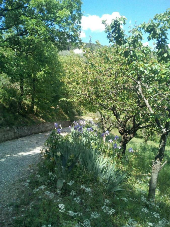 Villa Desiderio Tuscany Пистойя Экстерьер фото